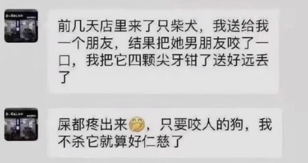 小柴犬被活活拔掉牙齿后，施虐者：我是一个很喜欢狗的人...