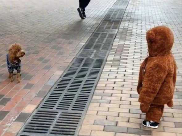 2个孩子衣着新衣服裤子外出，泰迪犬见了她们都愣住：我们都是同类吗？
