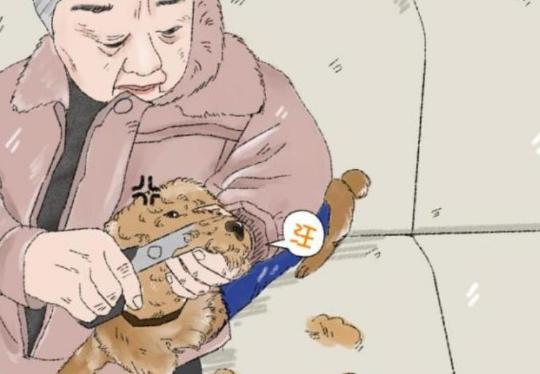 奶奶给狗狗剃毛，狗狗如同点了穴，孙女凑近后一看笑到扶墙