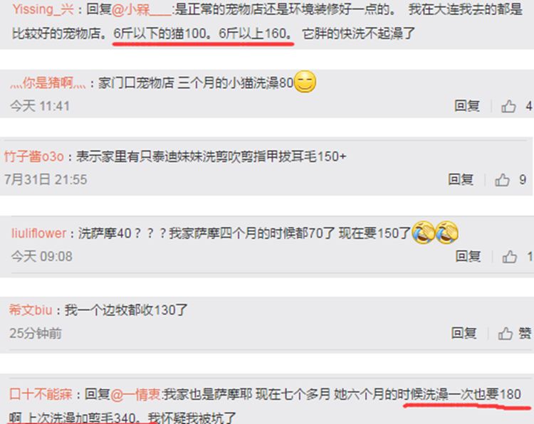 主人宁愿自己淋雨，也要给狗狗穿雨衣，真相让铲屎官们感同身受