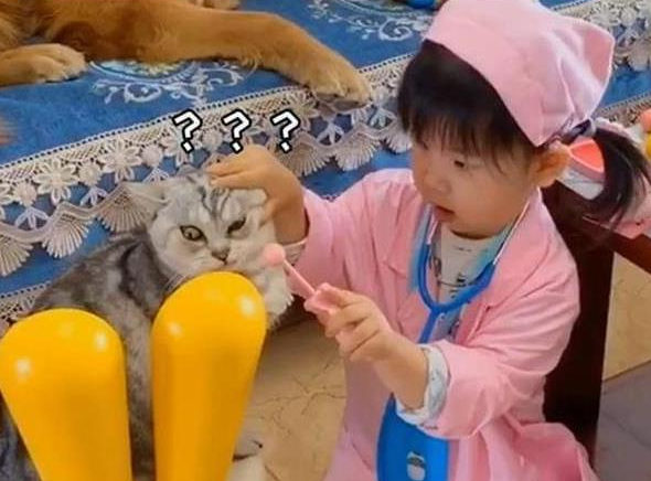 2岁女儿在家“治病救人”，看到“病人”后网友笑翻：狗子太难了