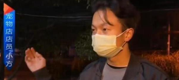 狗狗送去宠物店洗澡，不到10分钟就死了？主人怒索赔2万元