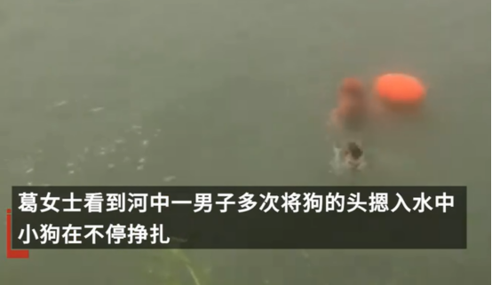 安徽一男子多次将狗闷在河水中挣扎,可恶至极!