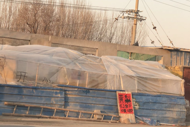 实拍狗肉馆门口树上挂满了狗皮，狗皮卖高价，路过时触目惊心！