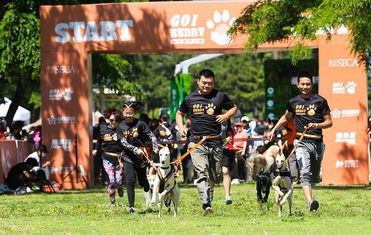 人犬合作征战障碍赛！狗巴迪勇士赛首站登陆北京