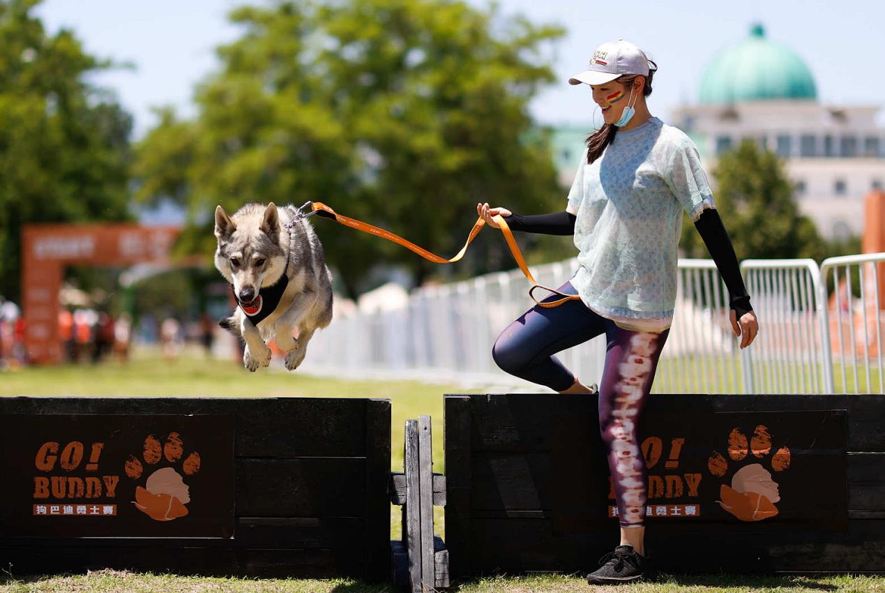 人犬合作征战障碍赛！狗巴迪勇士赛首站登陆北京
