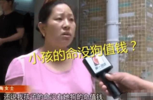 6岁男童被狗咬伤,反被狗主人索赔2万,难道小孩的命没狗值钱？