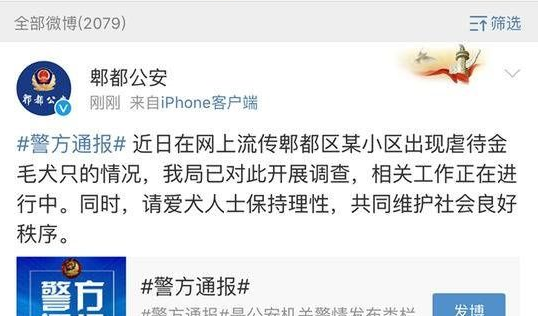 成都一金毛犬遭划70余刀死亡 郫都警方已介入调查