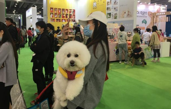 “狗狗摇尾巴就是开心？错！”亚宠展“教你一分钟读懂狗语”回顾